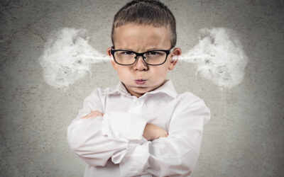 When You Feel Like Snapping: How Trauma Responses Show Up in Daily Life